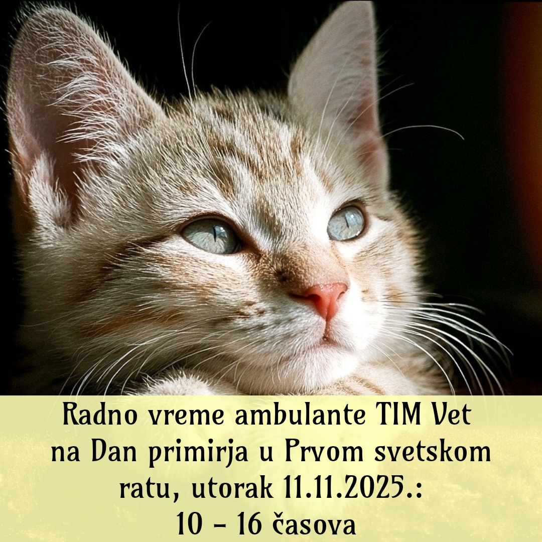 Radno vreme ambulante TIM Vet na Dan primirja u Prvom svetskom ratu, 11.11.2025.