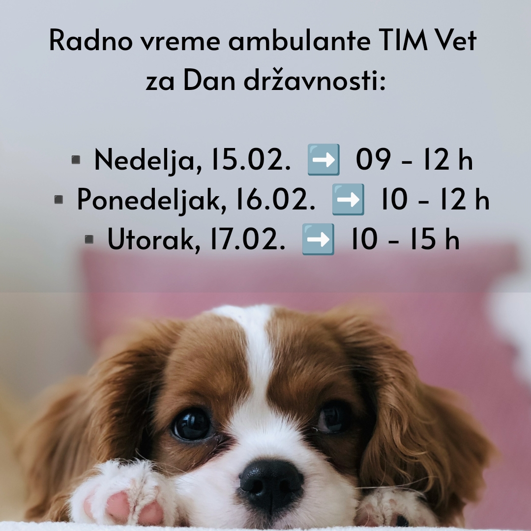RADNO VREME AMBULANTE TIM VET ZA DAN DRŽAVNOSTI 2026.