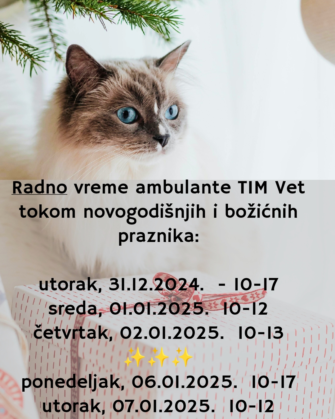 RADNO VREME AMBULANTE TOKOM NOVOGODIŠNJIH I BOŽIĆNIH PRAZNIKA 2025.