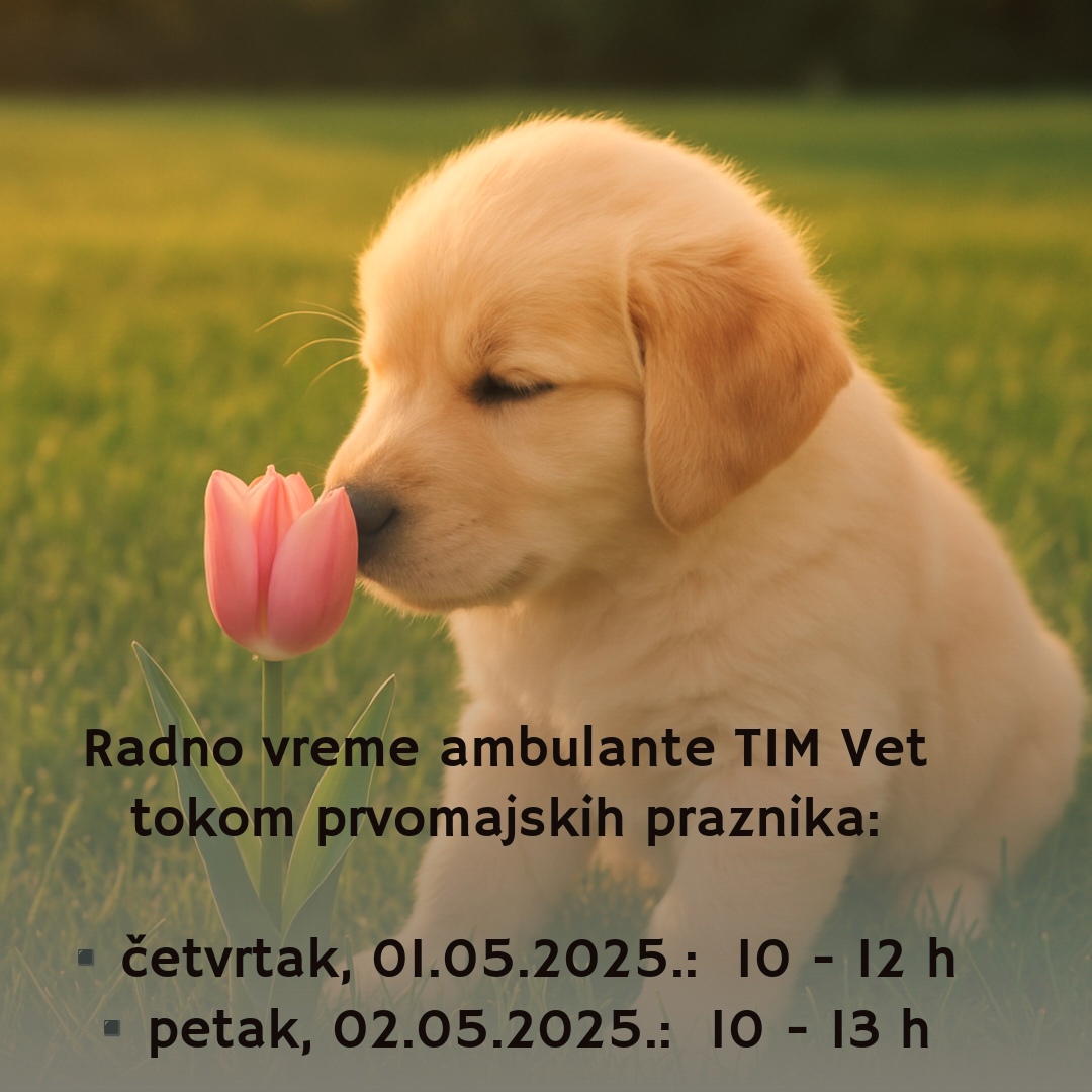 RADNO VREME AMBULANTE TOKOM PRVOMAJSKIH PRAZNIKA 2025.