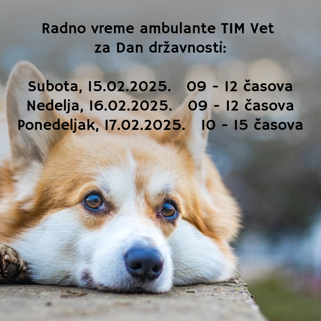 RADNO VREME AMBULANTE ZA DAN DRŽAVNOSTI 2025.