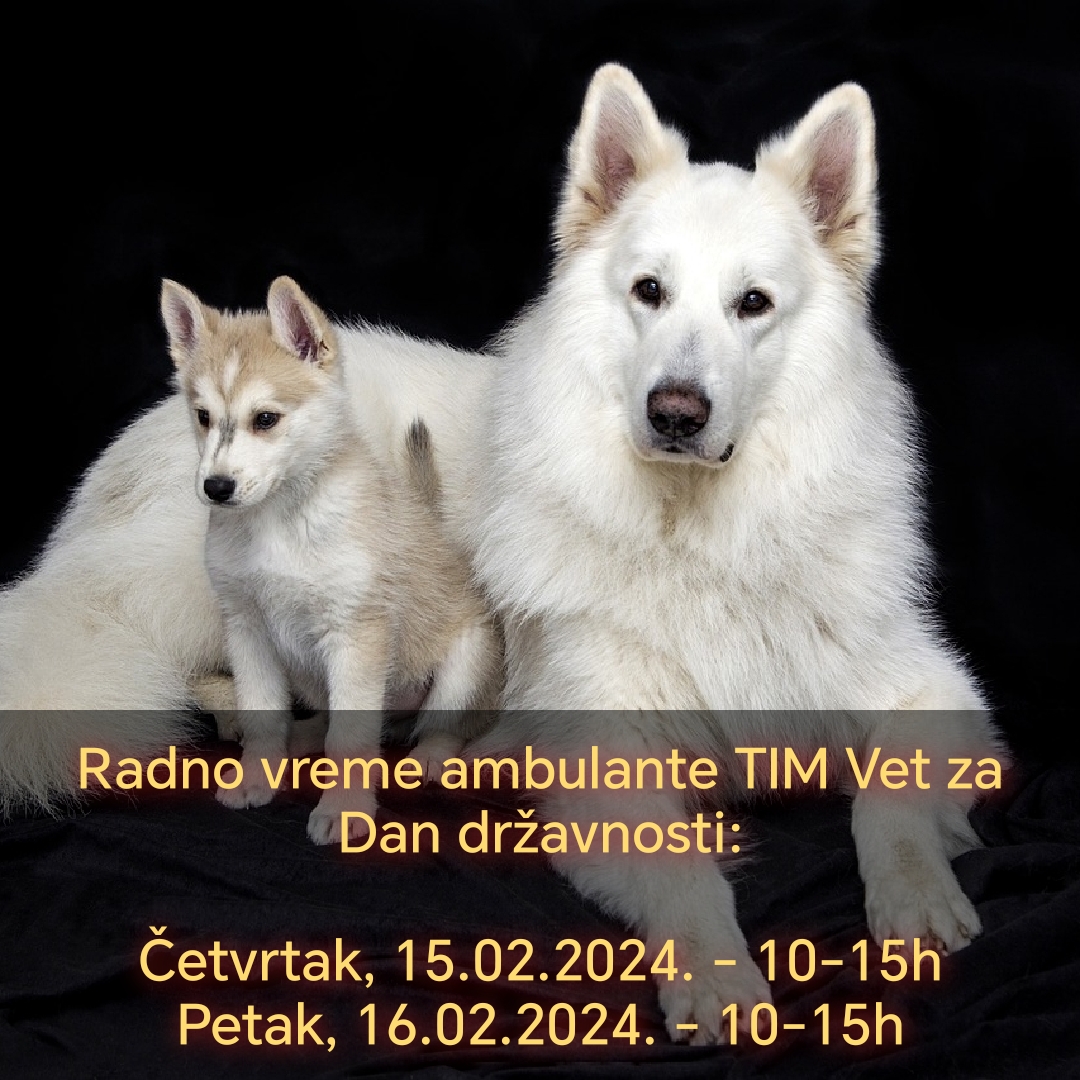 RADNO VREME AMBULANTE ZA DAN DRŽAVNOSTI 2024.