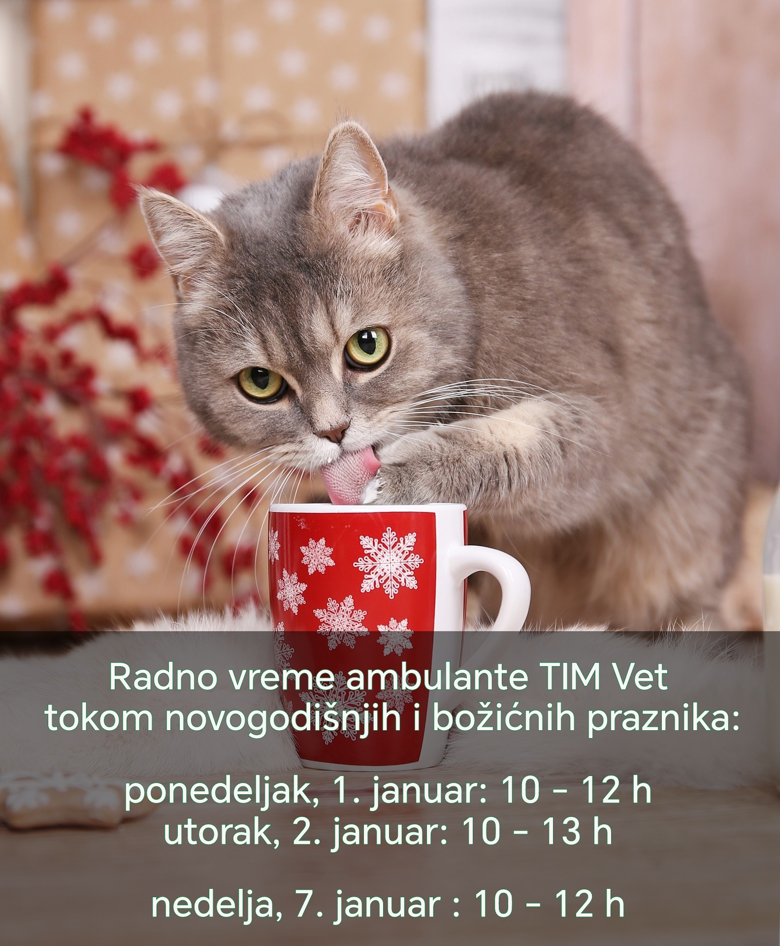 RADNO VREME AMBULANTE TOKOM NOVOGODIŠNJIH PRAZNIKA 2024.