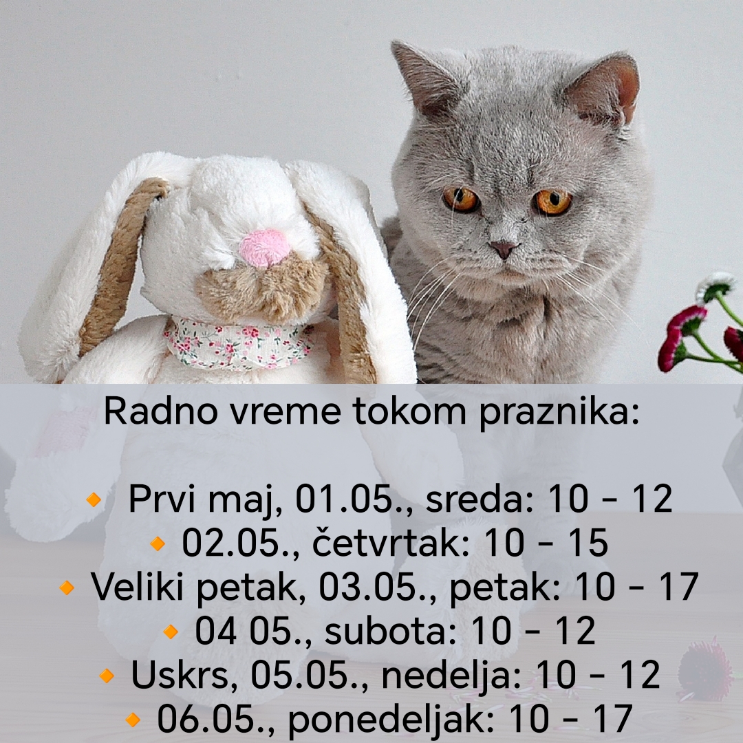 RADNO VREME AMBULANTE TOKOM PRVOMAJSKIH I USKRŠNJIH PRAZNIKA 2024.